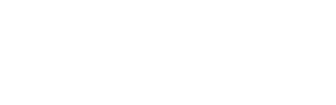 WebonicTech Logo